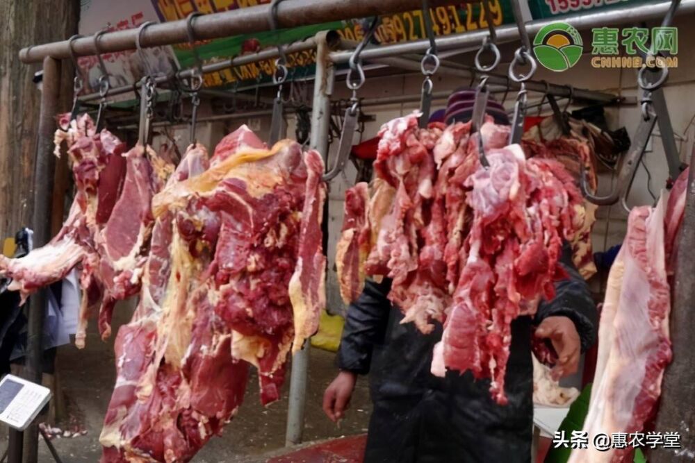 今日羊肉价格多少钱一斤？2021年3月羊肉价格最新行情预测