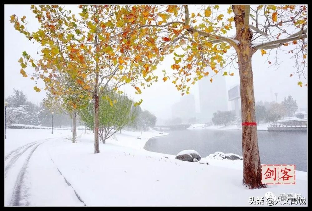 风雪中的禹城（尹希剑拍摄）