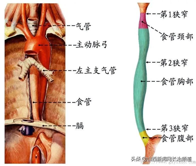 差点要命的假牙，长医附属和平医院解决