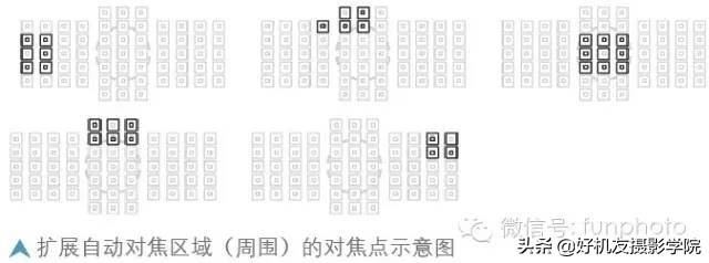 一次性学全佳能尼康的对焦模式、对焦区域模式等对焦知识！（下）