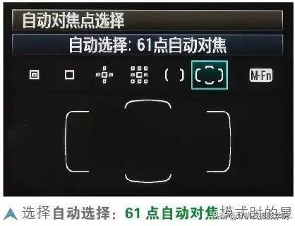 一次性学全佳能尼康的对焦模式、对焦区域模式等对焦知识！（下）