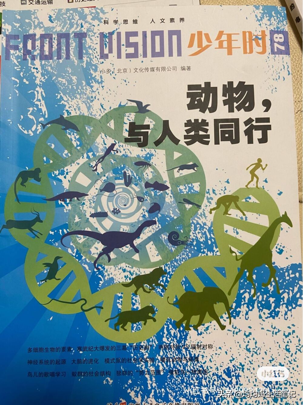 避免踩坑，2021年给孩子订杂志推荐这10种