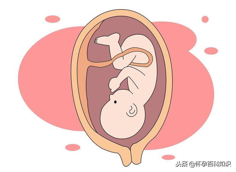 第一次胎动什么感觉？男宝女宝胎动大不同