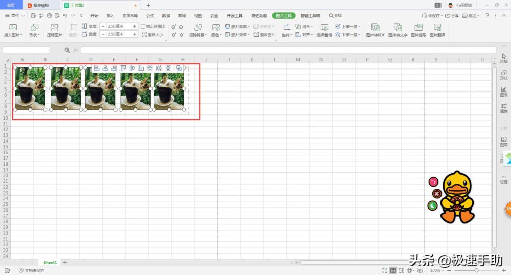 Excel还能打印证件照？没错，一寸和两寸证件照轻松印