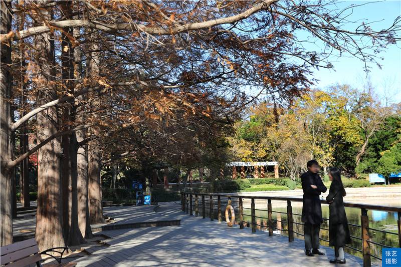 青岛最美赏秋地：八大关浪漫风景美到极致，被誉为“万国博览会”