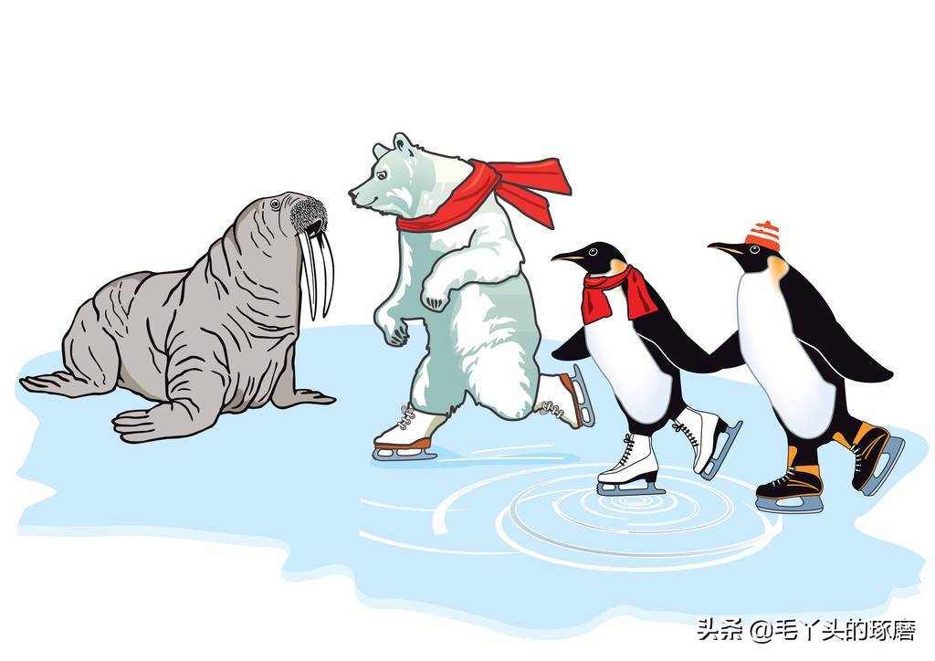 北极熊为什么不吃企鹅，看IT从业者的回答有点意思