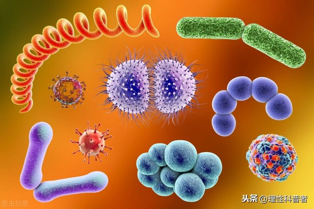 生物工程是干什么的。人类的健康长寿、动植物新品种的培育