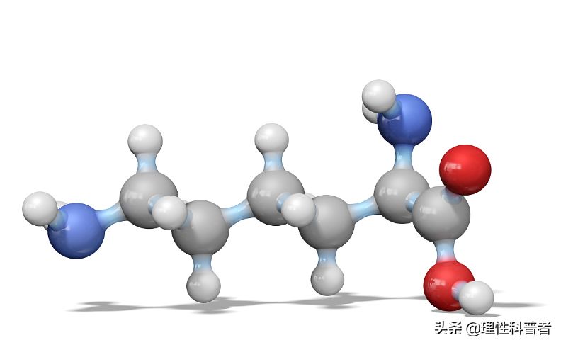 生物工程是干什么的。人类的健康长寿、动植物新品种的培育