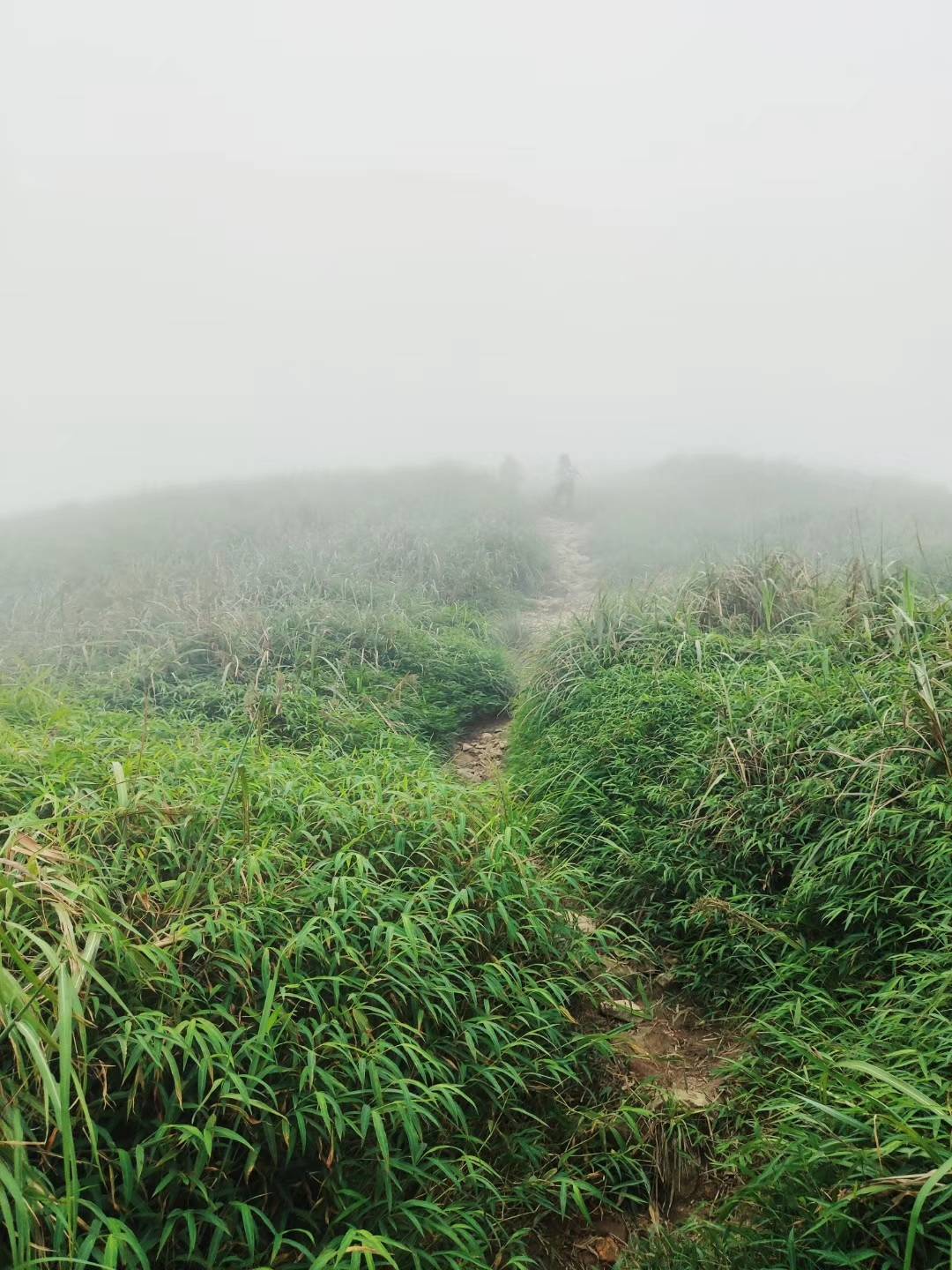 惠州大南山徒步攻略，跟团游