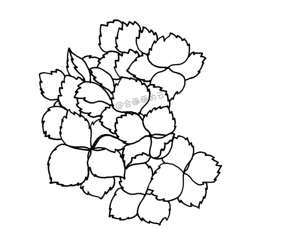 零基础的小白也可以画的简笔画，教你用1支笔画一簇花