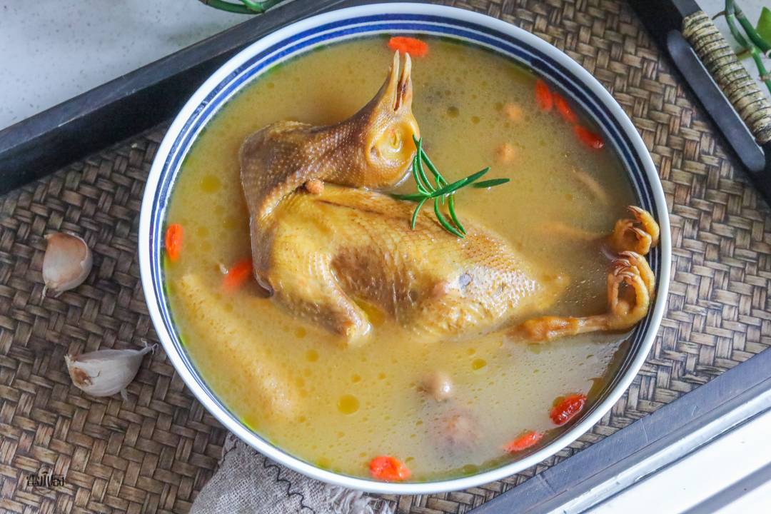 煲鸽子汤，要不要先焯水？教你正确做法，汤鲜味美，营养不流失