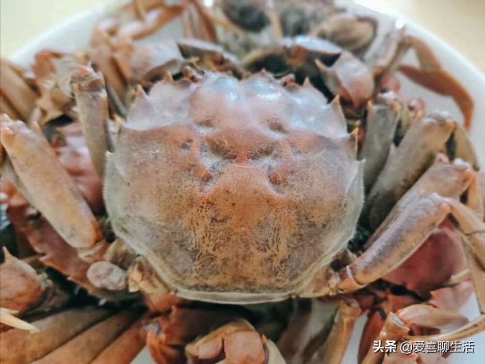 煮螃蟹时，到底用冷水还是热水，教你一招，保证肉嫩味鲜蟹脚不掉