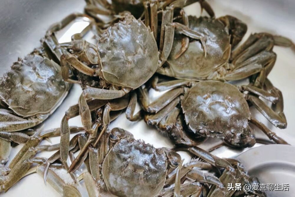 煮螃蟹时，到底用冷水还是热水，教你一招，保证肉嫩味鲜蟹脚不掉